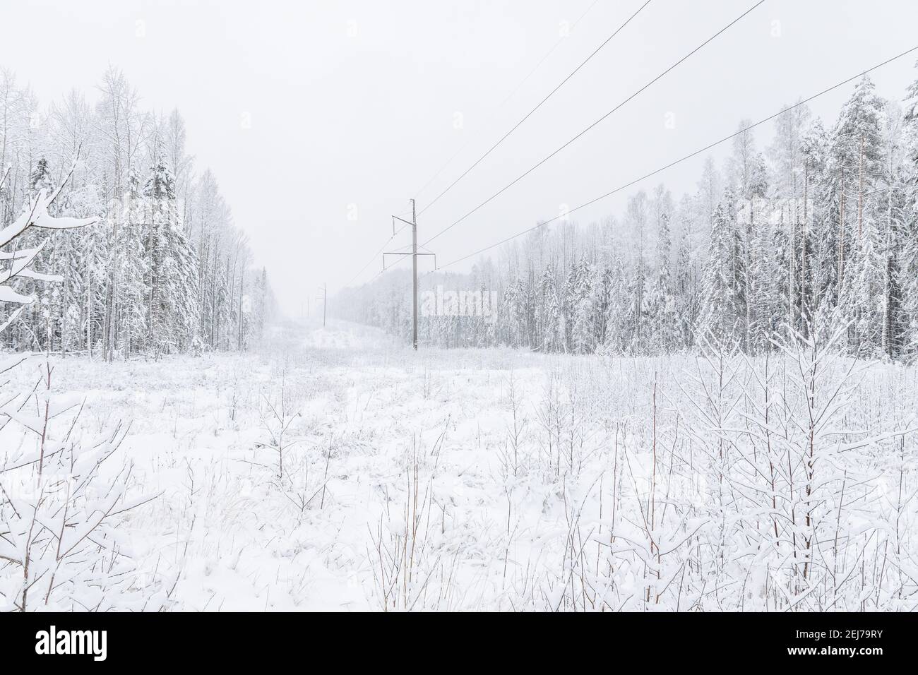 power line in the forest. Winter Stock Photo - Alamy