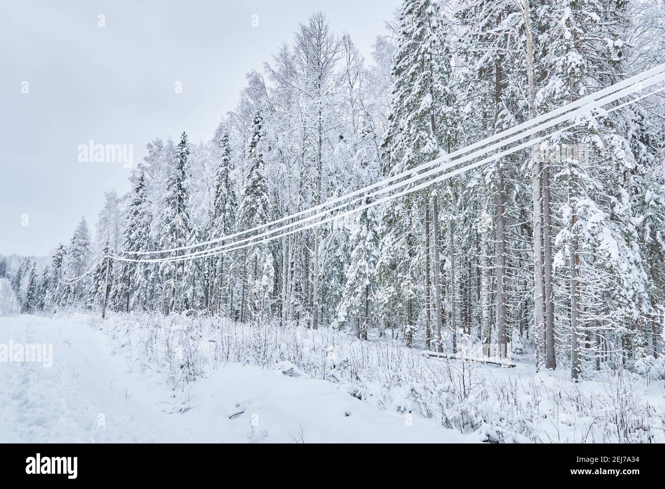 cold winter power line poles Stock Photo - Alamy