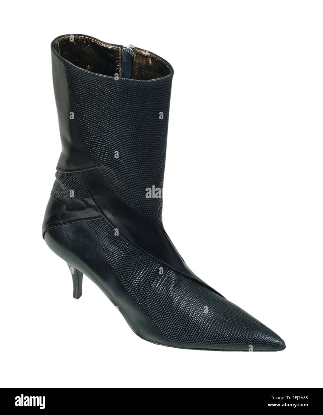 Trendy women boots for all seasons. Studio shoot. Stock Photo