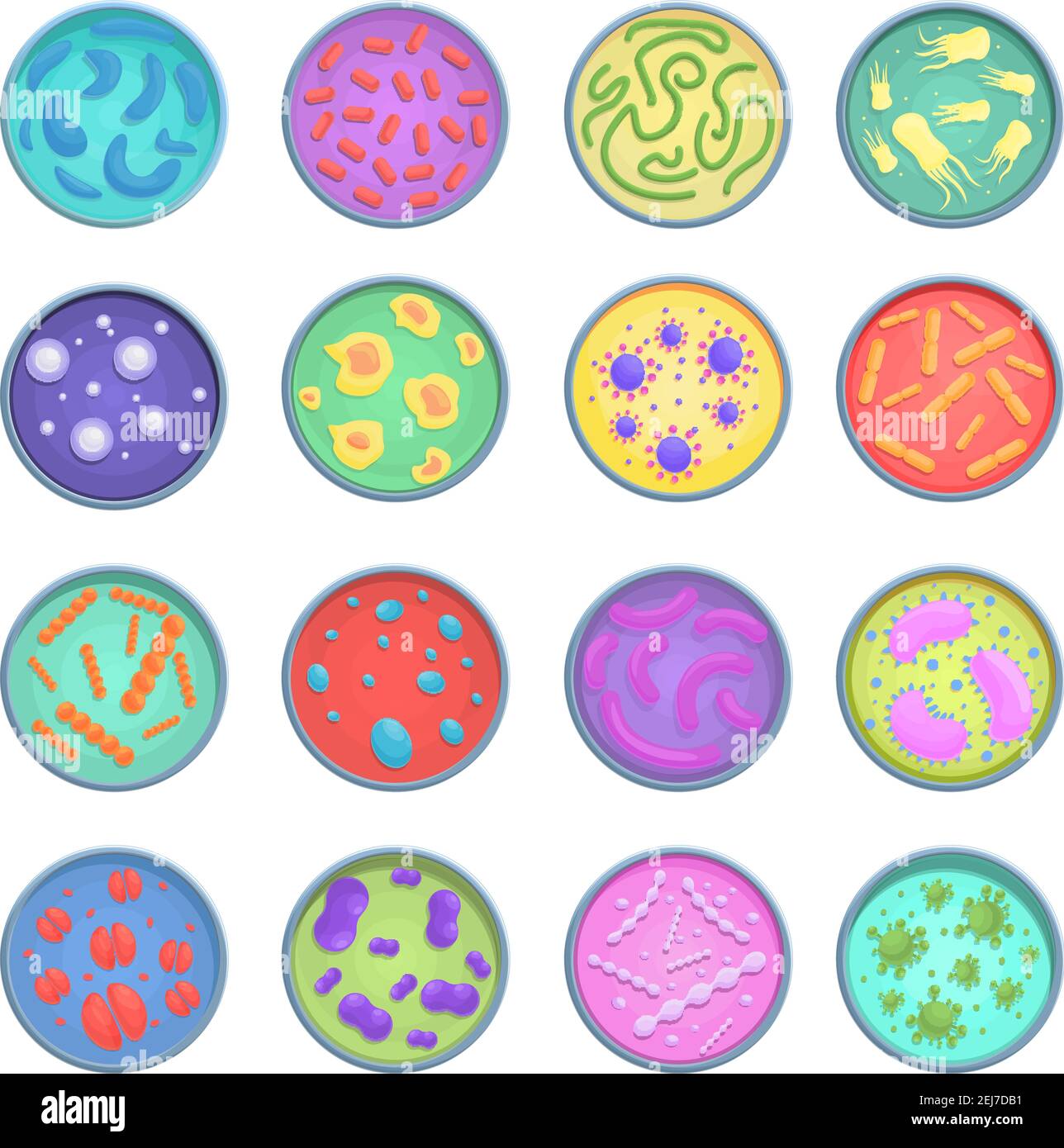 Petri dish icon. Cartoon of petri dish vector icon for web design isolated  on white background Stock Vector Image & Art - Alamy