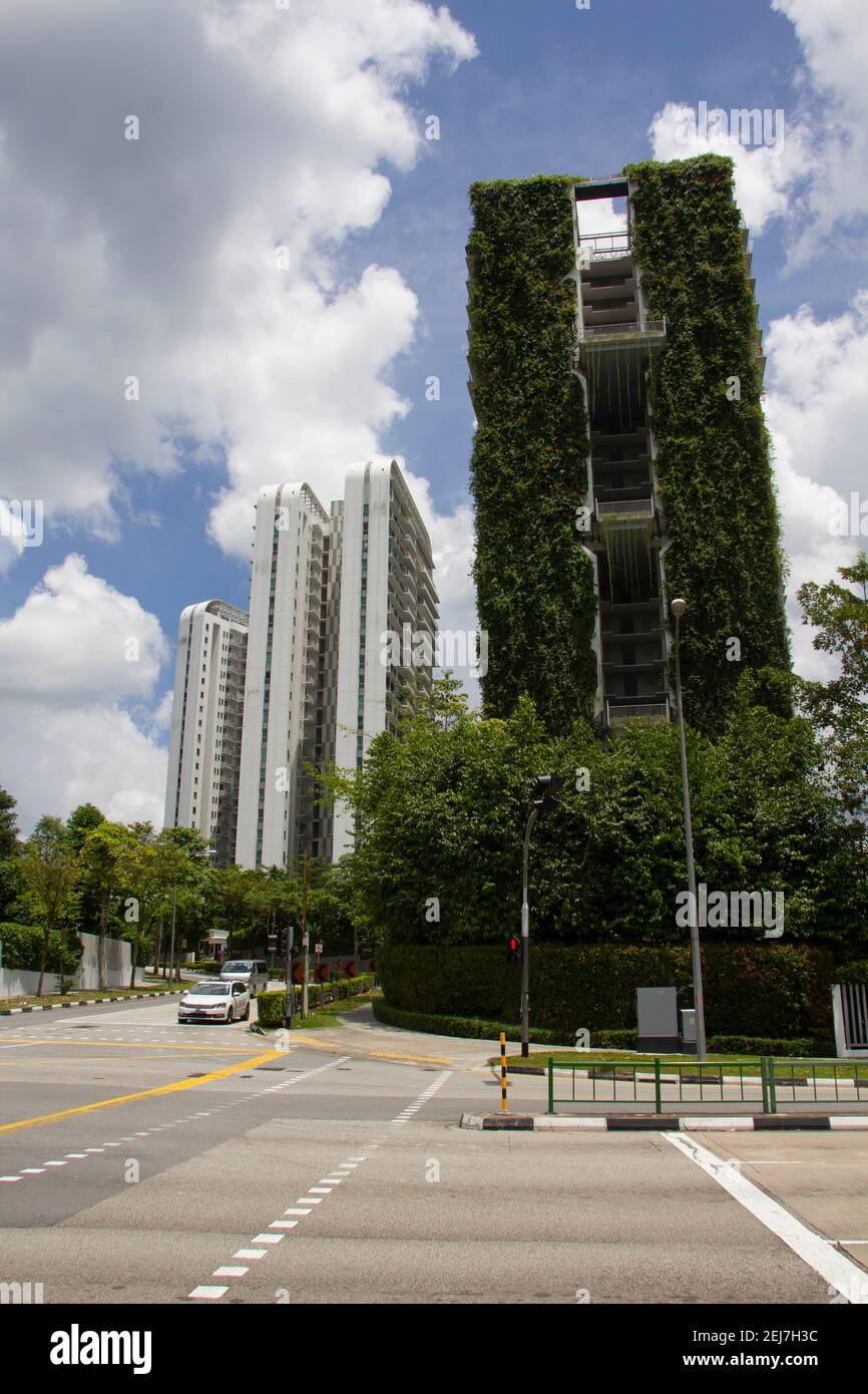 Vertical image with the view at the street at Singapore Stock Photo