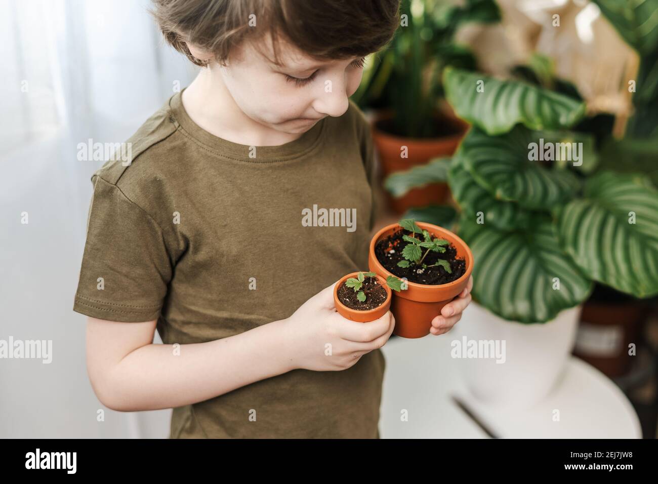 Kid gardeners potted plant Stock Photo - Alamy