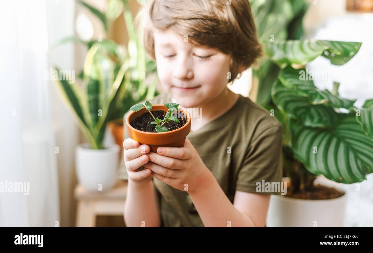 Kid gardeners potted plant Stock Photo - Alamy