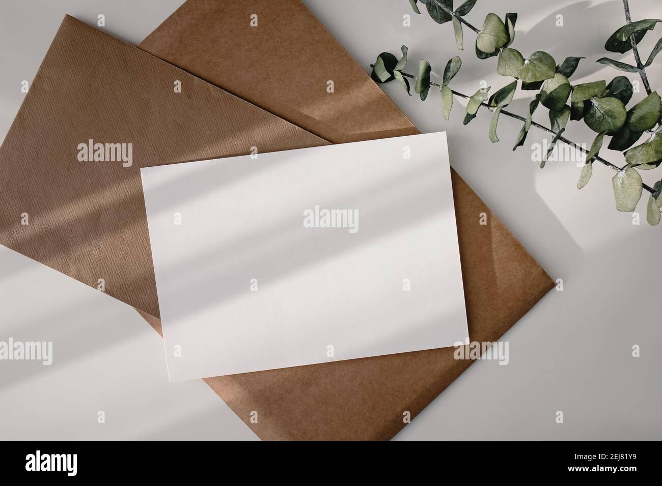Empty paper card and eucalyptus branches on the white table. Stock Photo