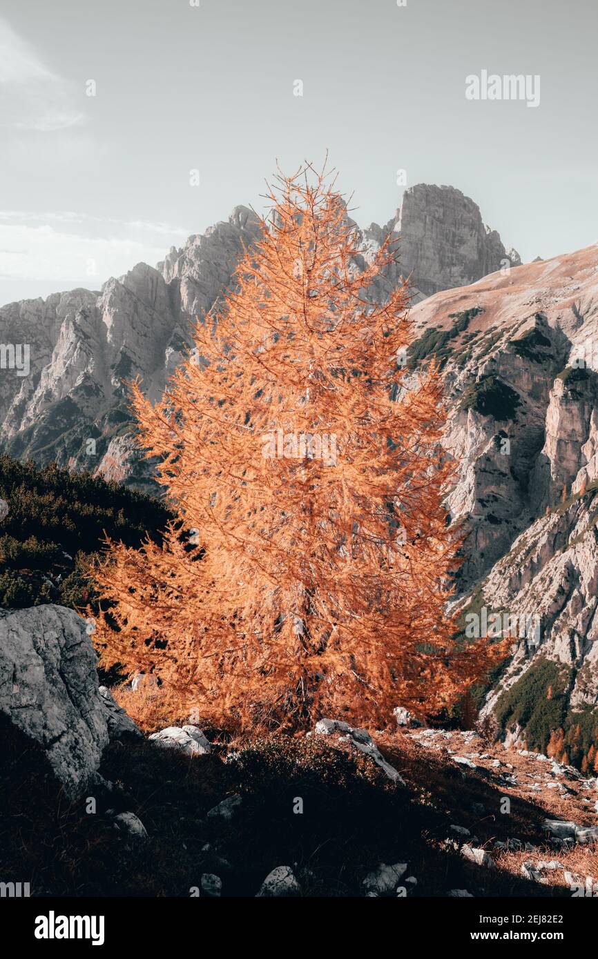 Autumn alpine dolomites rocky hi-res stock photography and images - Alamy