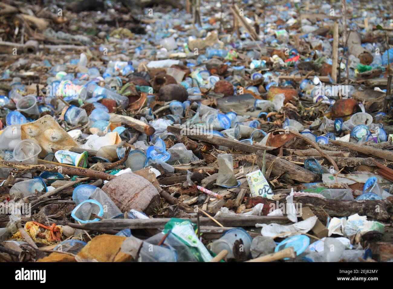 Piles of plastic waste cover the river as it flows into the sea