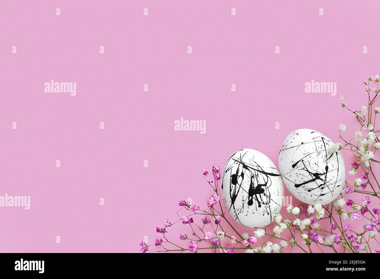 Two white eggs in black spots and flowers on a pink background with a ...