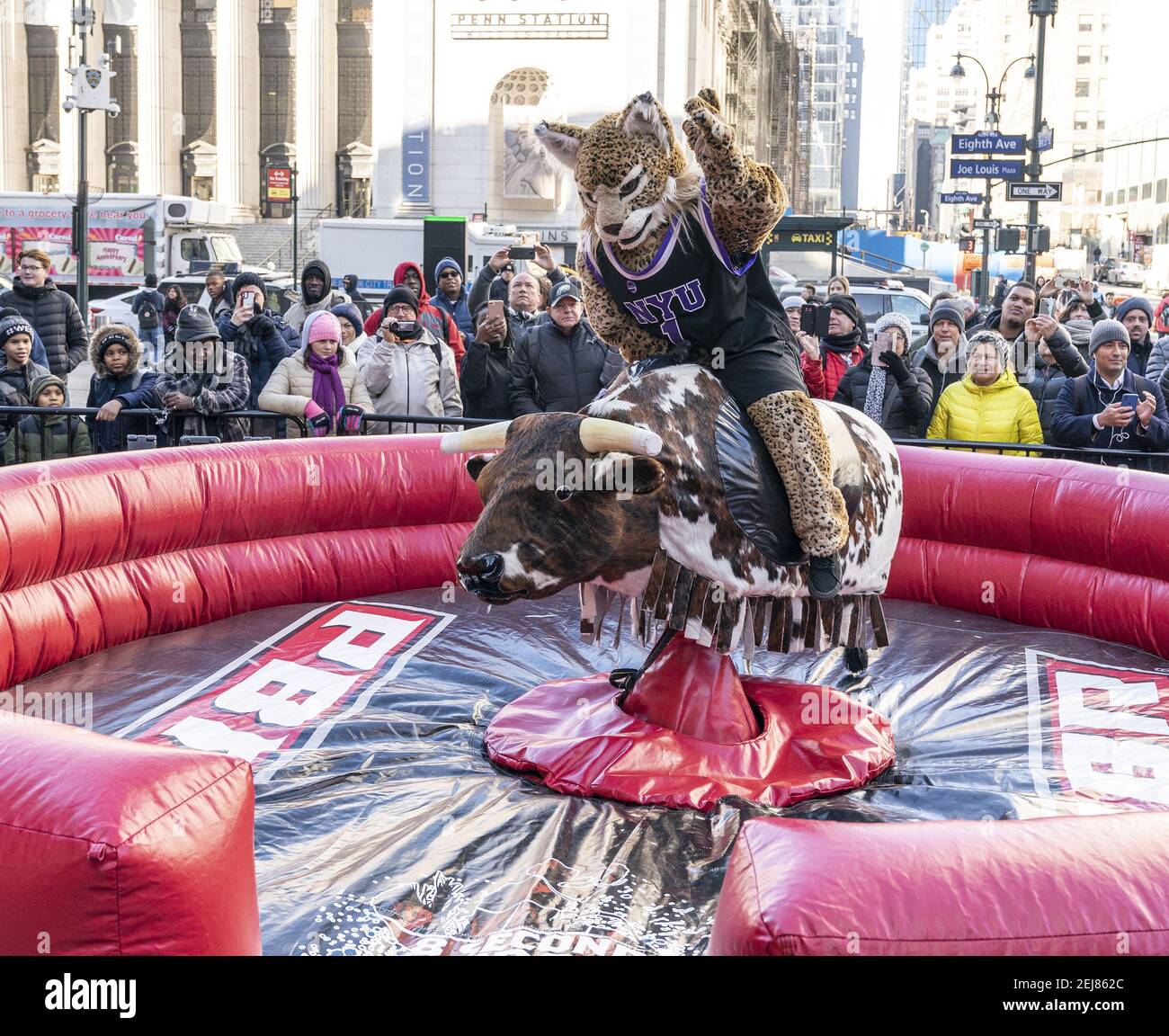 NYU mascot The Bobcat rides mechanical bull during Professional Bull
