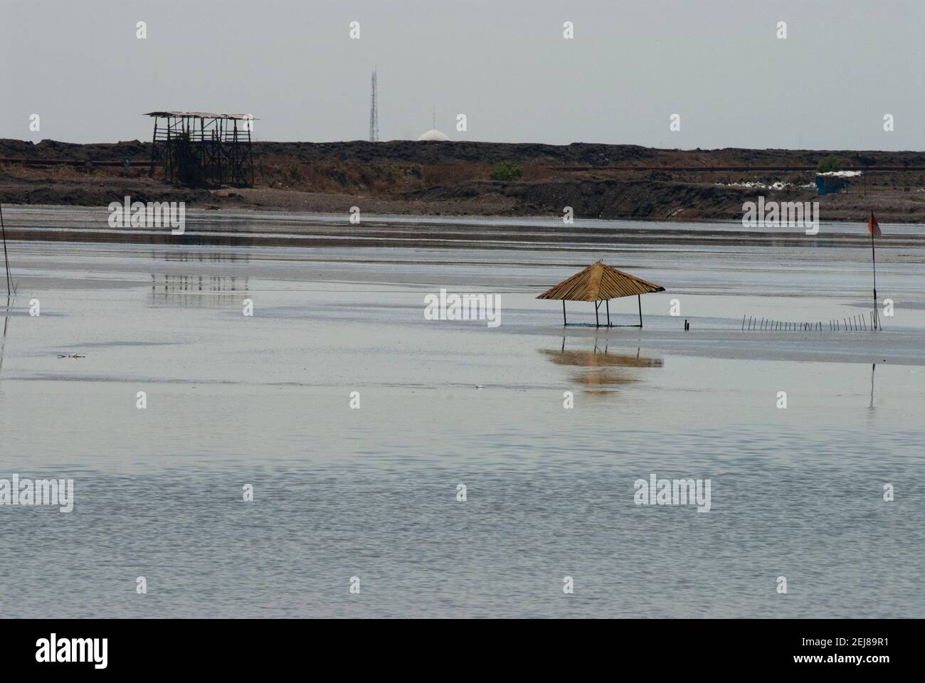 Top of mosque barely visible in mud lake environmental disaster which developed after drilling incident, Porong Sidoarjo, near Surabaya, East Java, In Stock Photo