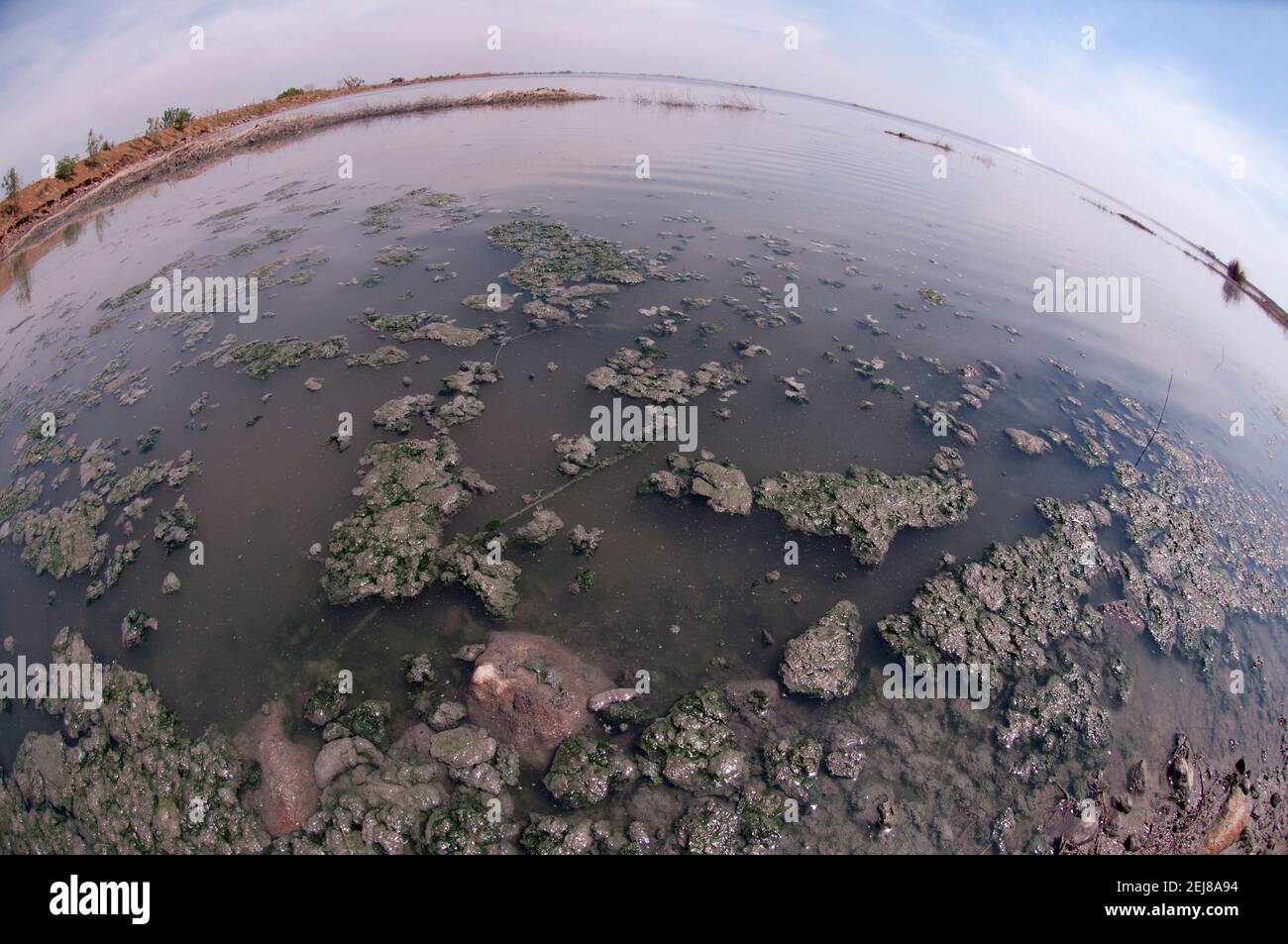 Mud lake environmental disaster which developed after drilling incident, Porong Sidoarjo, near Surabaya, East Java, Indonesia Stock Photo