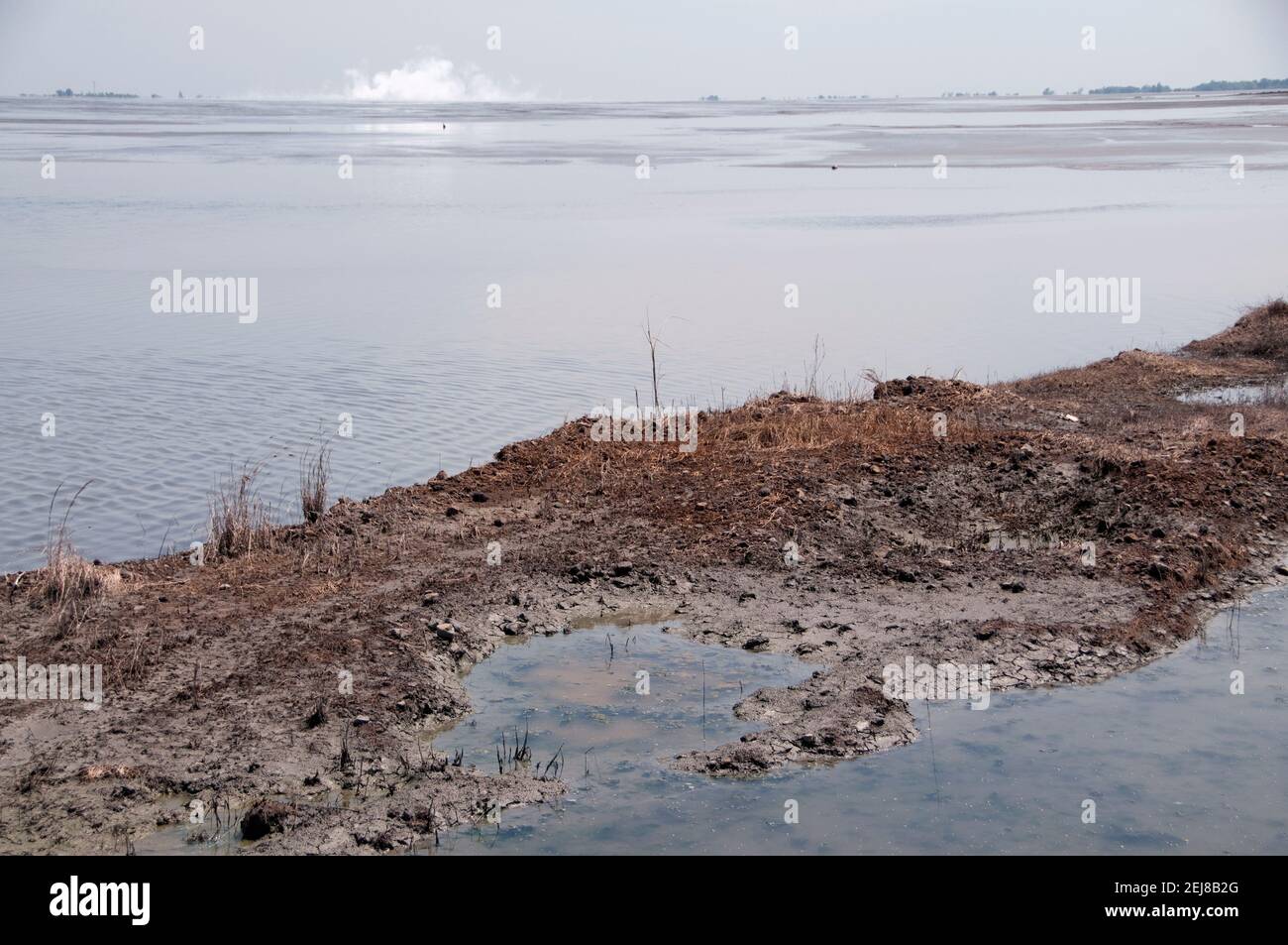 Mud lake environmental disaster and mud flow geyser which developed after drilling incident, Porong Sidoarjo, near Surabaya, East Java, Indonesia Stock Photo
