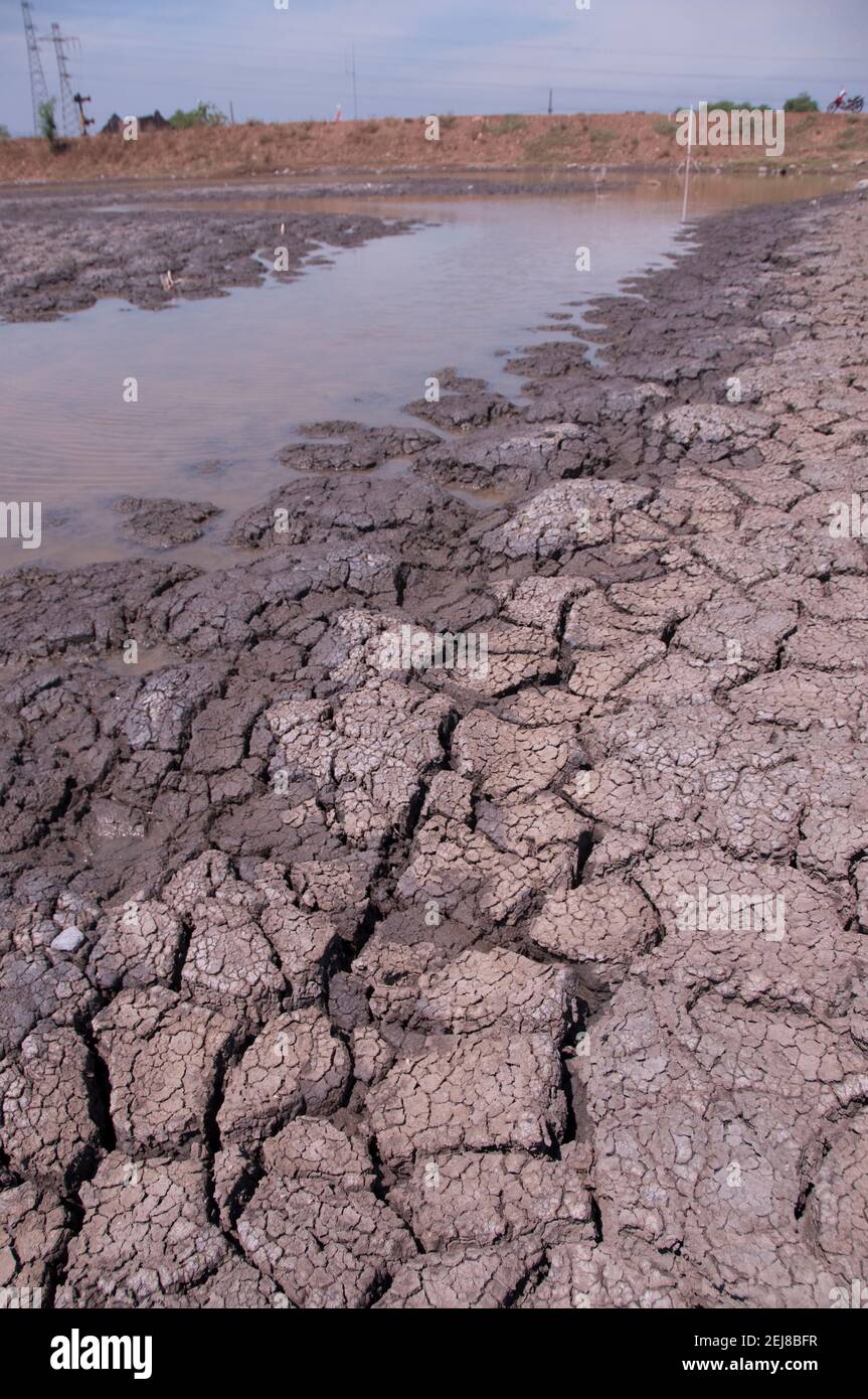 Dried mud around mud lake environmental disaster which developed after drilling incident, Porong Sidoarjo, near Surabaya, East Java, Indonesia Stock Photo
