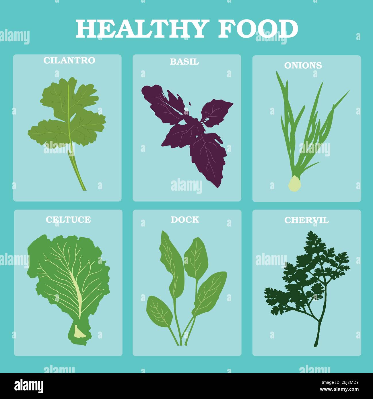 Set vector vegetables and herbs. Flat. Healthy vegetarian food. Farmers fresh food. Natural. Diet. Farmers market. Farm vegetarian food. Onion, garlic Stock Vector