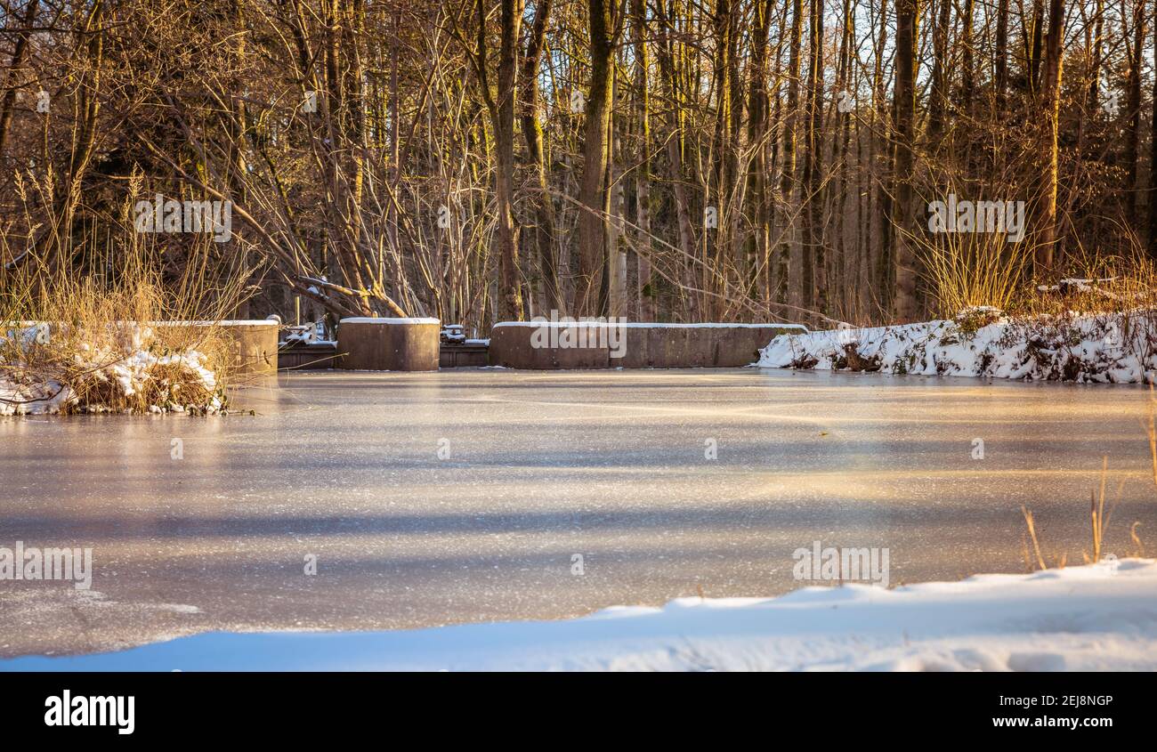 Winter with snow in the Waterloopbos, a forest where old scale models of waterworks can be found. Stock Photo
