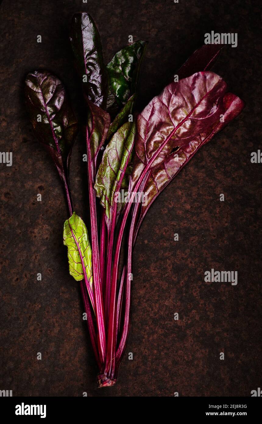 Red stem chard on a dark backdrop. Stock Photo