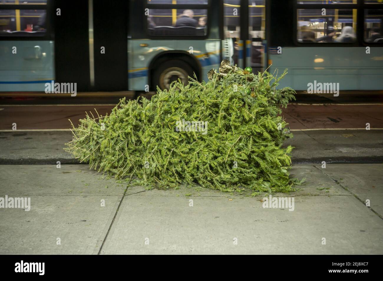 A poor, lonesome, discarded Christmas tree is seen outside an apartment