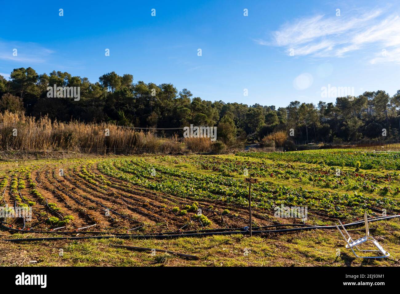 La Rural, organic fruit and vegetable farmers in Sant Cugat del Valles, Barcelona. La Rural, productors de fruites i hortalisses ecològiques a Sant Cu Stock Photo