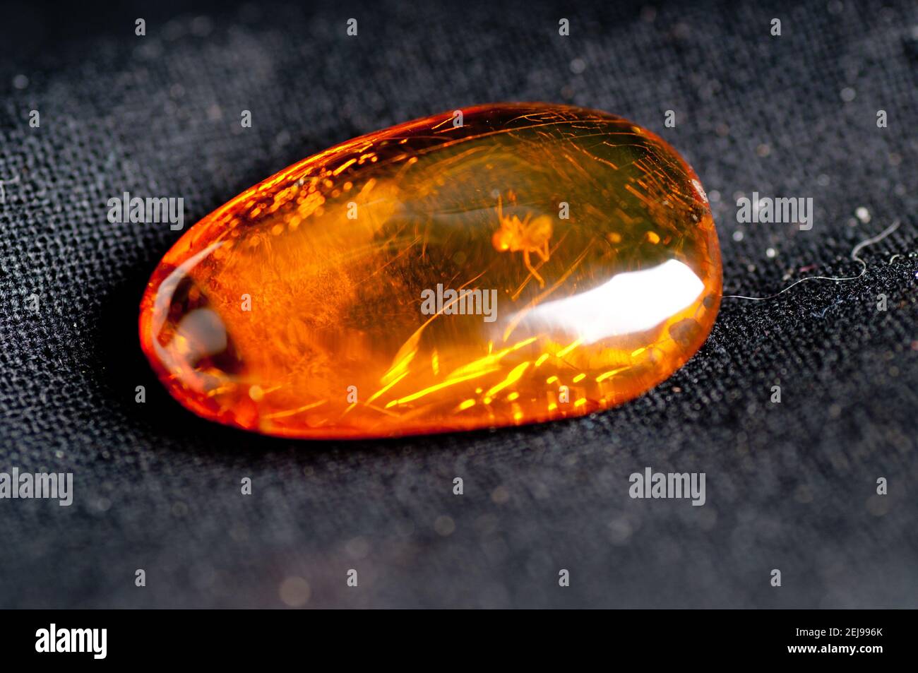 amber with insect inside Stock Photo