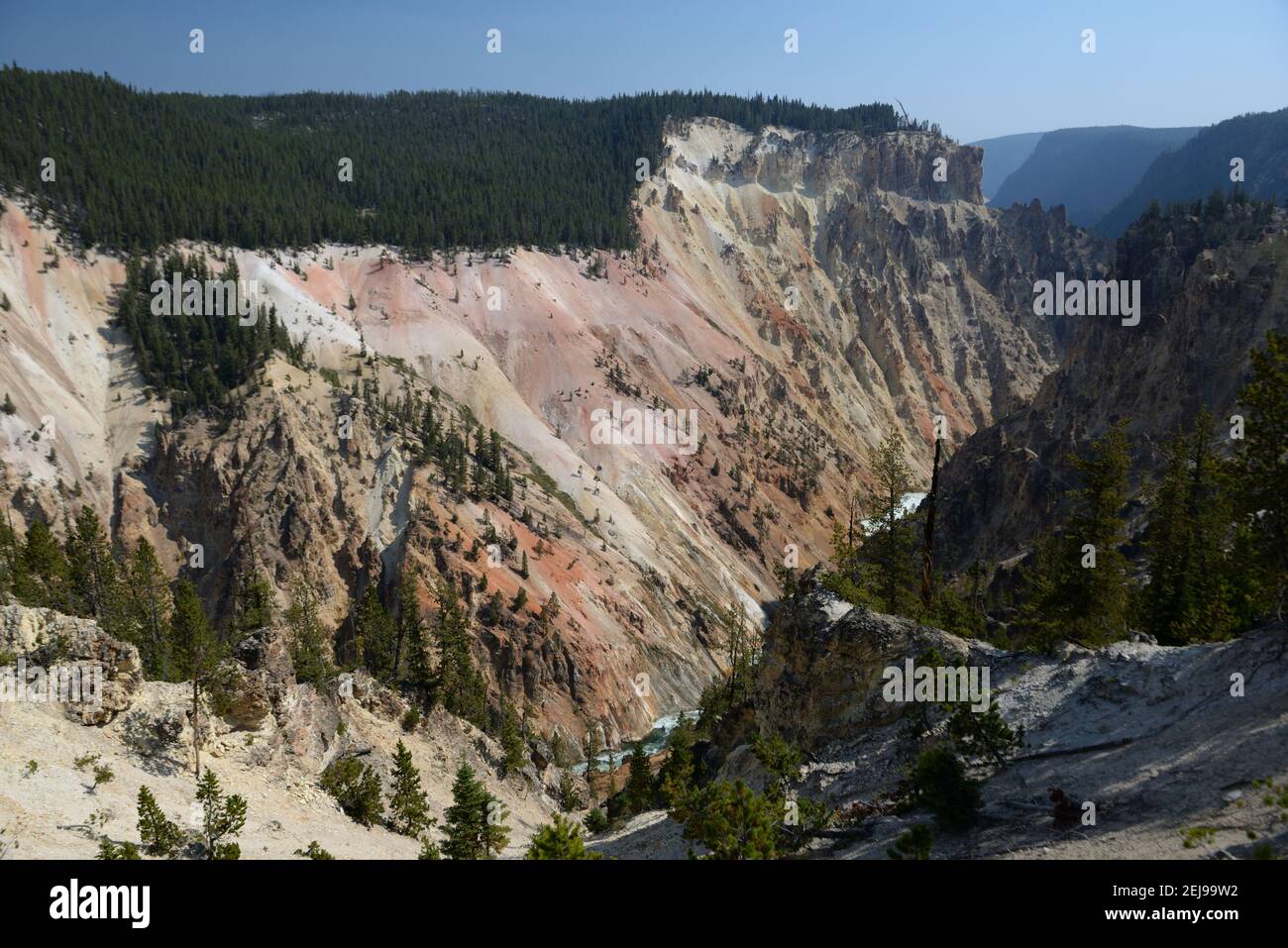Grand Canyon of the Yellowstone River in Yellowstone National Park, Wyoming, USA Stock Photo