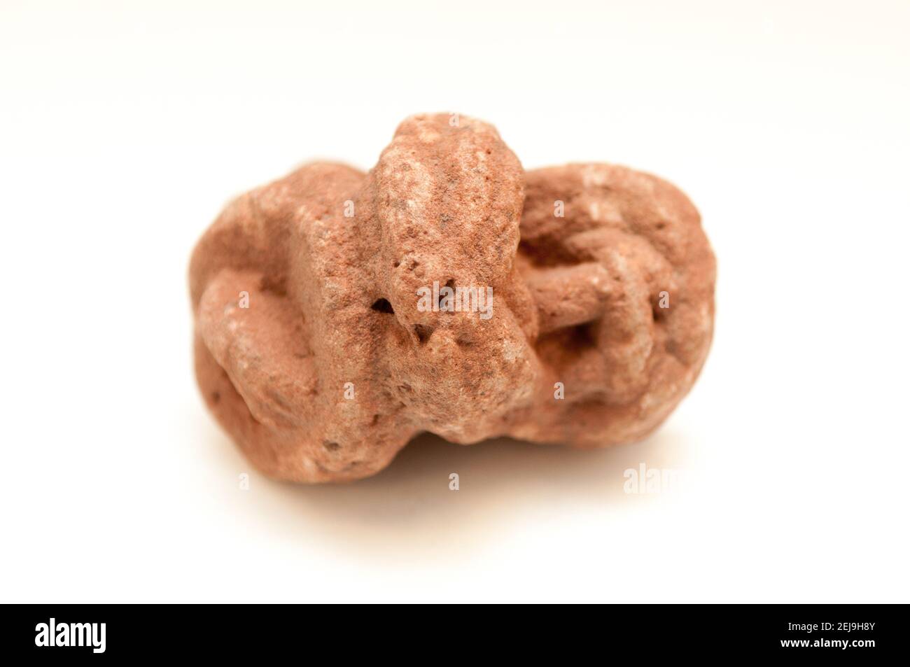 barite rose mineral sample Stock Photo