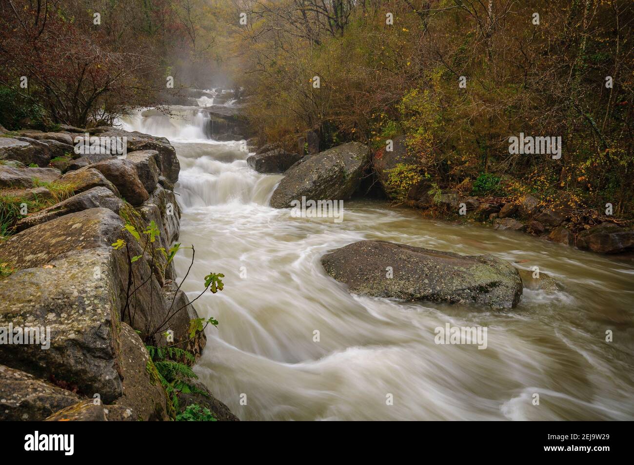 The river Gurn in the picnic area of Els Pins, after heavy rains (Vall d'en Bas, Garrotxa, Catalonia, Spain, Pyrenees) Stock Photo
