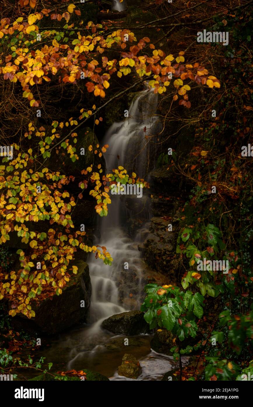 Waterfall after a heavy period of rain, at the beginning of the river Brugent in La Garrotxa in autumn (Vall d'en Bas, Garrotxa, Catalonia, Spain) Stock Photo