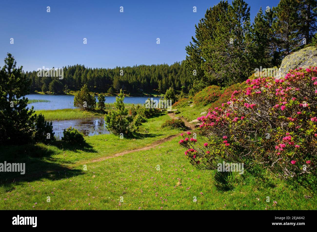 Carlit Lakes, Les Bouillouses, in summer (Pyrenees Orientales, France) ESP:  Lagos del Carlit, en las Bullosas, en verano (Pirineos, Francia) Stock Photo