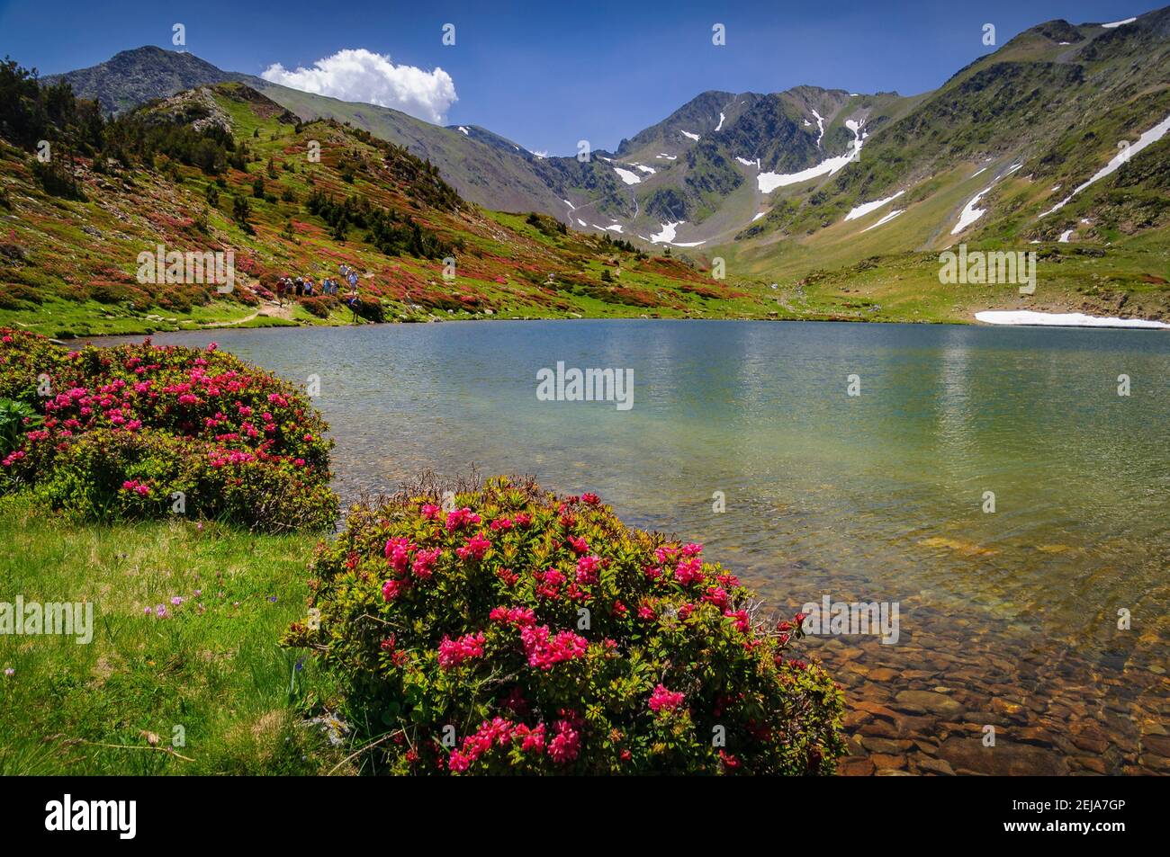 Carlit Lakes, Les Bouillouses, in summer. In the background, the Carlit summit (Pyrenees Orientales, France) Stock Photo