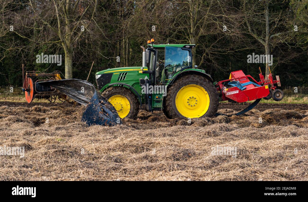 East Lothian, Scotland, UK, 22nd February 2021. Carrot harvest