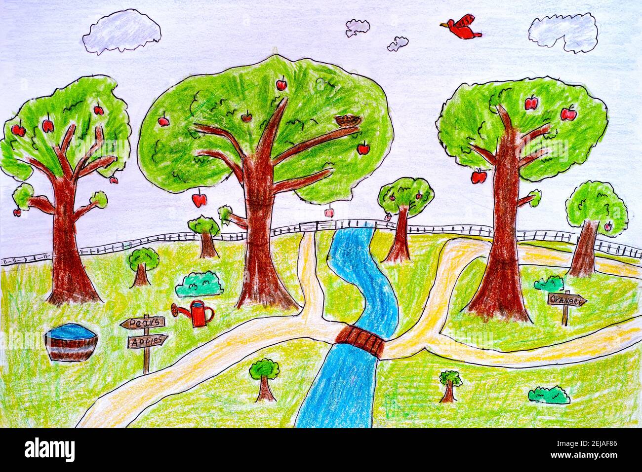 Child pencil hand drawing. Orchard with apple trees Stock Photo