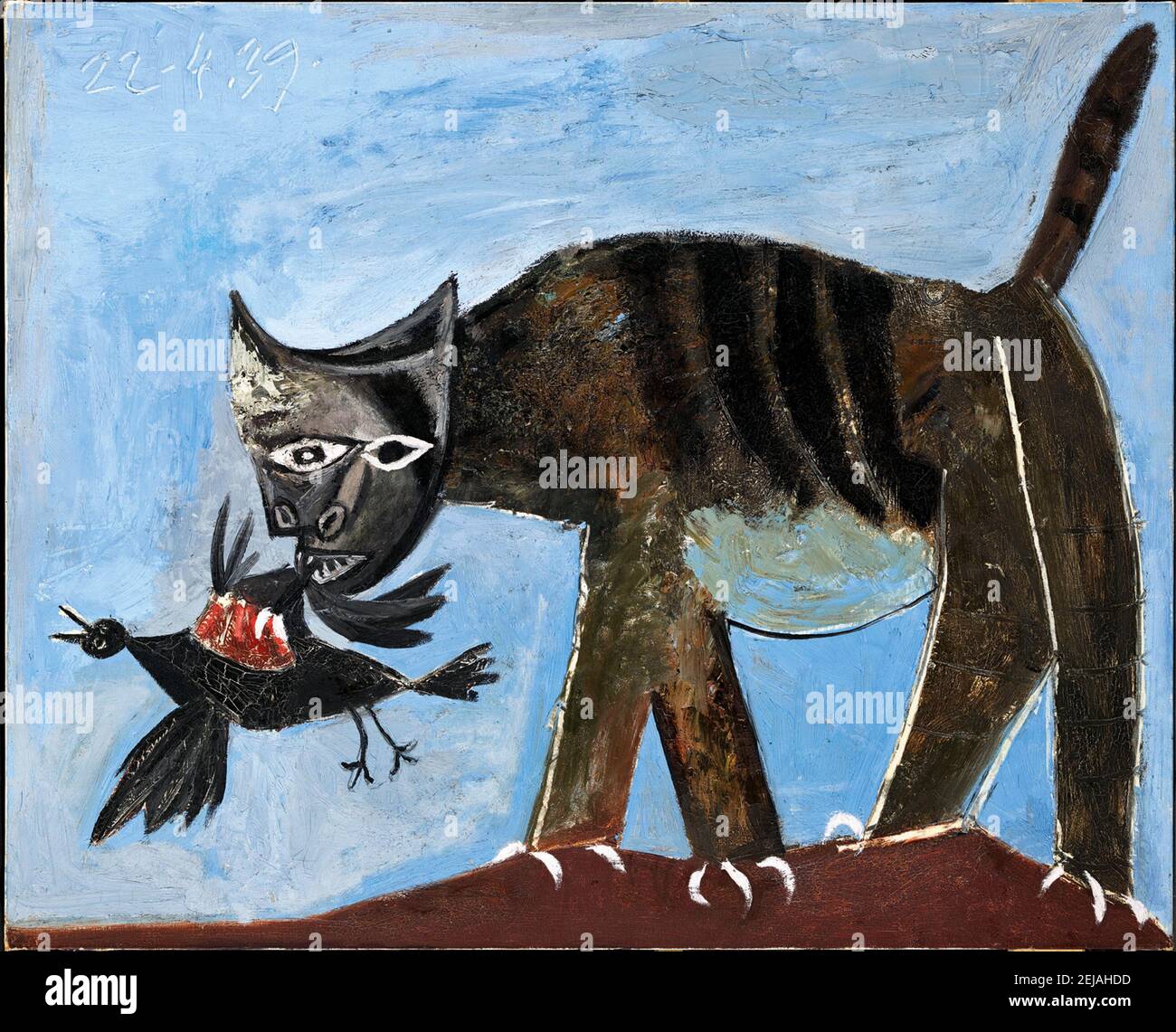 Chat Oiseau High Resolution Stock Photography And Images Alamy Chat Oiseau High Resolution Stock Photography And Images Alamy