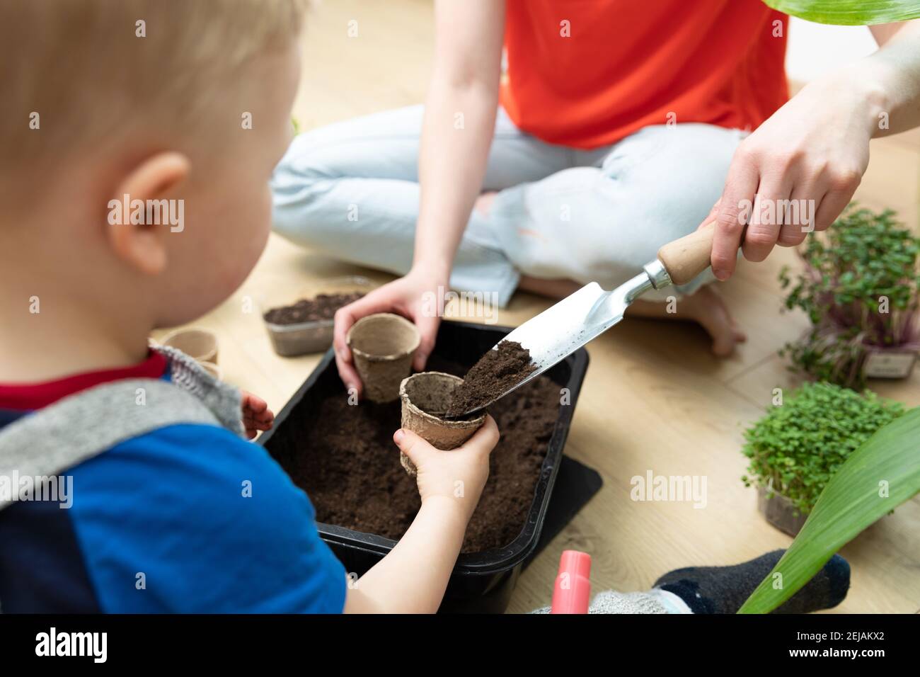 Home hobbies planting seeds. Young mother and son preparing soil by pooring dirt in to small pots. Spring time activities. Stock Photo