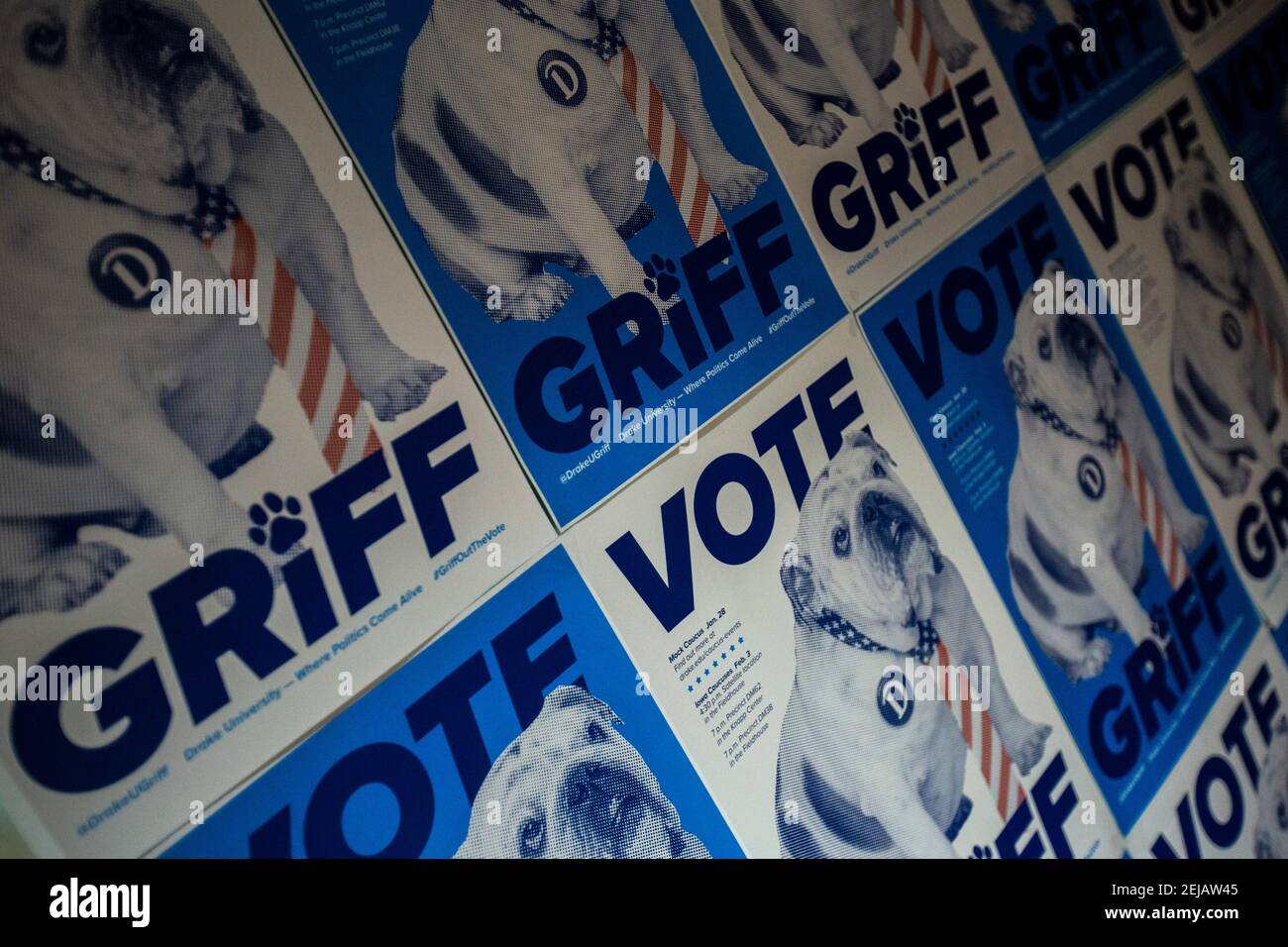 Posters featuring an image of Griff, the live mascot at Drake University, is seen during a watch the CNN/Des Moines Register Democratic Presidential Debate, Tuesday, Jan. 14, 2020, at Cartwright Hall on the Drake University campus in Des Moines, Iowa. 200114 Iowa Debate 025 Jpg (Photo by Joseph Cress/Iowa City Press-Citizen/Imagn/USA Today Network/Sipa USA) Stock Photo