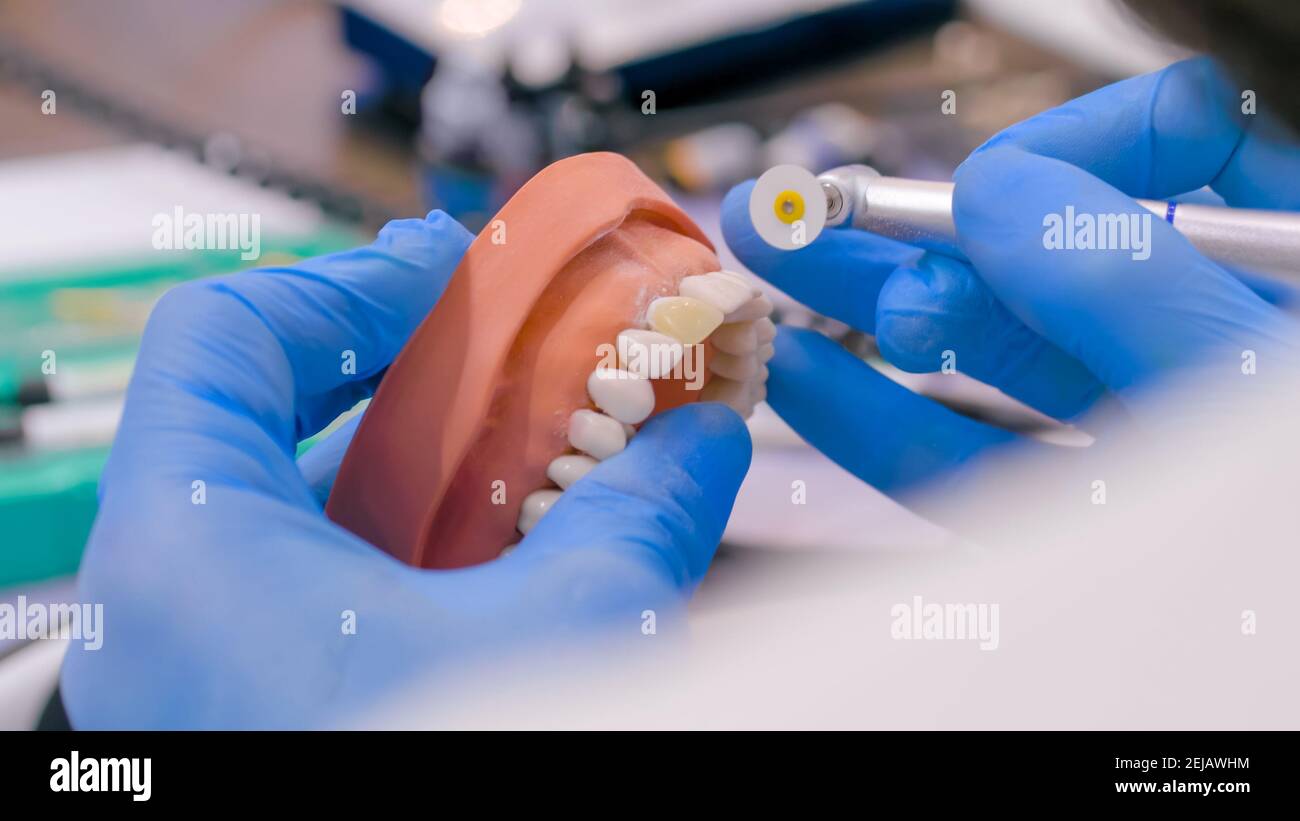 Dental technician working with dental prosthetics close up view Stock