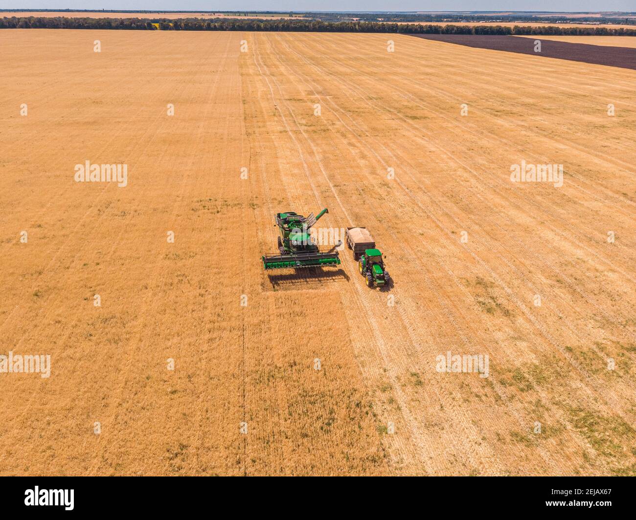 Aerial view of combine harvester on wheat field. Industrial background ...