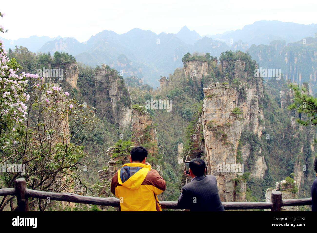 Hunan,CHINA-With the popularity of the "avatar" sequel, the alien scene of " Pandora", yuanjiajie 5A scenic spot in Zhangjiajie national forest park in  Hunan province, has become a popular tourist attraction in China