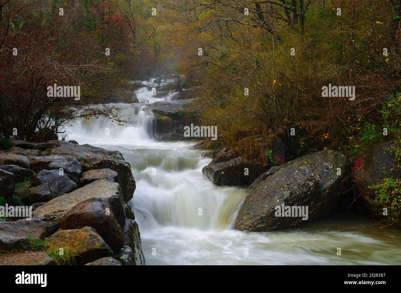 The river Gurn in the picnic area of Els Pins, after heavy rains (Vall d'en Bas, Garrotxa, Catalonia, Spain, Pyrenees) Stock Photo