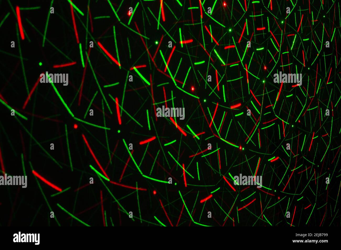 laser light images Stock Photo