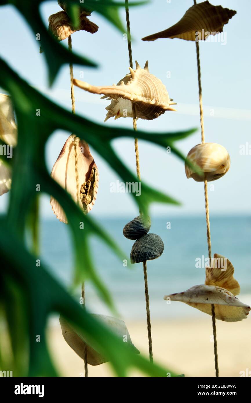 Sea Shell On Ropes Decorative seashells on rope lines at the beach in Phetchaburi ...