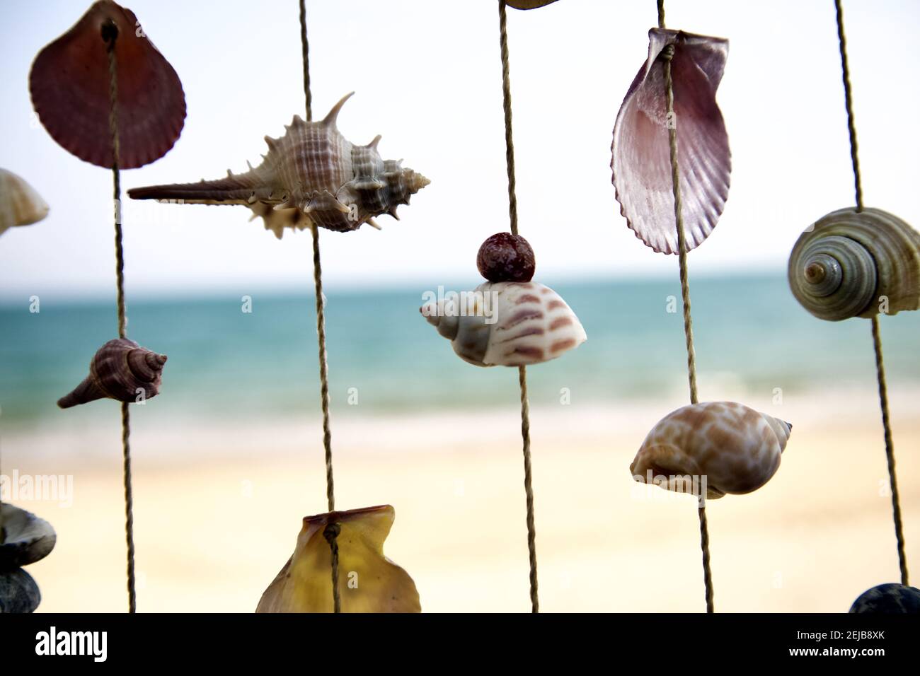 Sea Shell On Ropes Decorative seashells on rope lines at the beach in Phetchaburi ...
