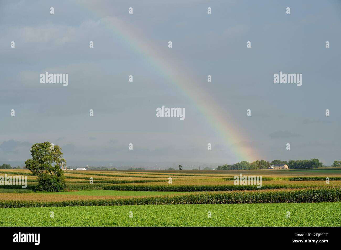 Beautiful view of the rainbow over a green landscape Stock Photo - Alamy