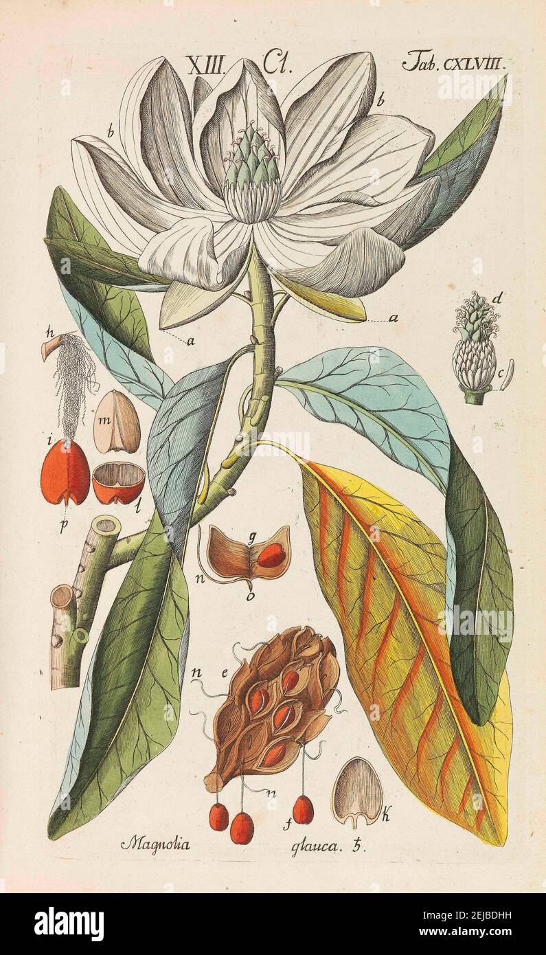 Christian schkuhr hires stock photography and images Alamy