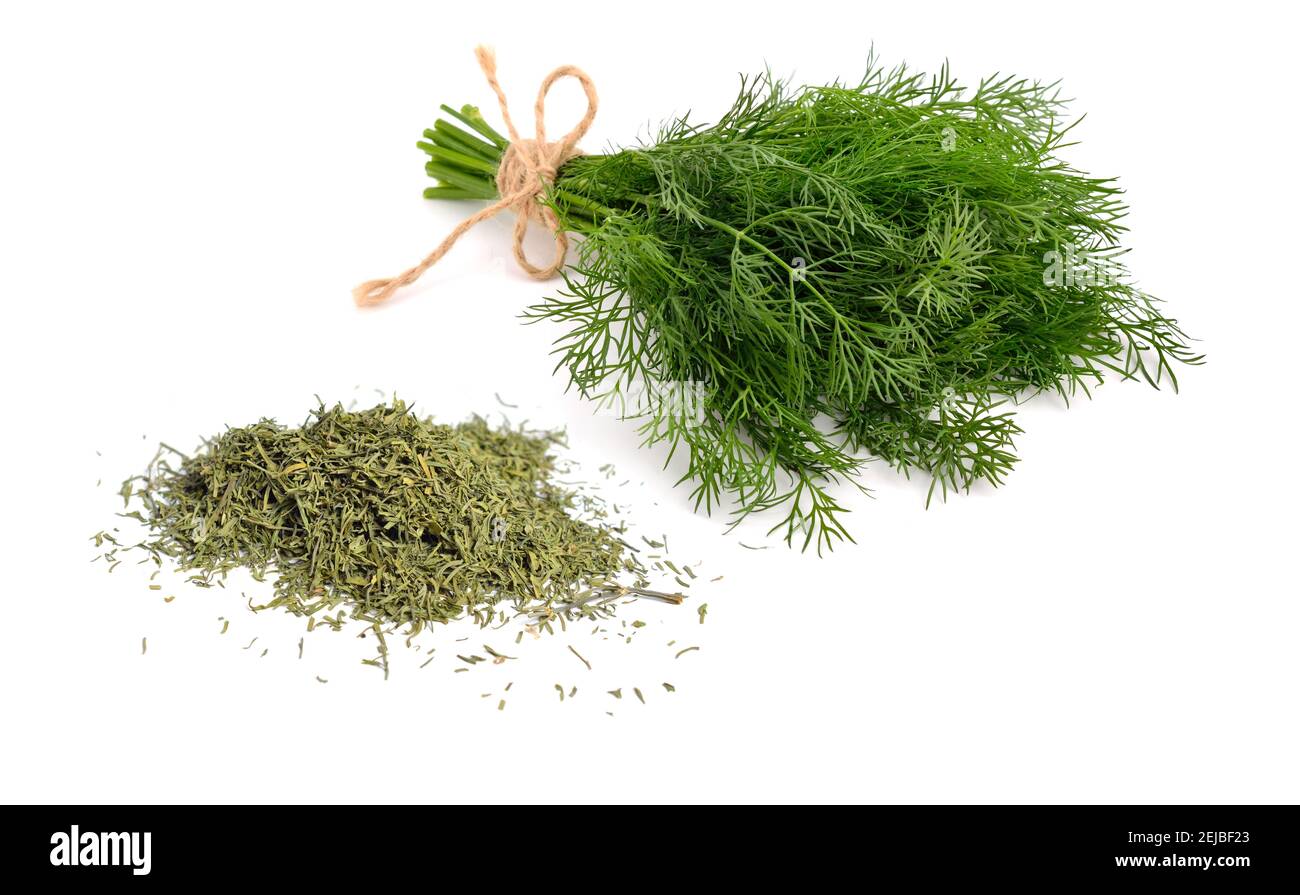 Dried green dill isolated on white background. Stock Photo
