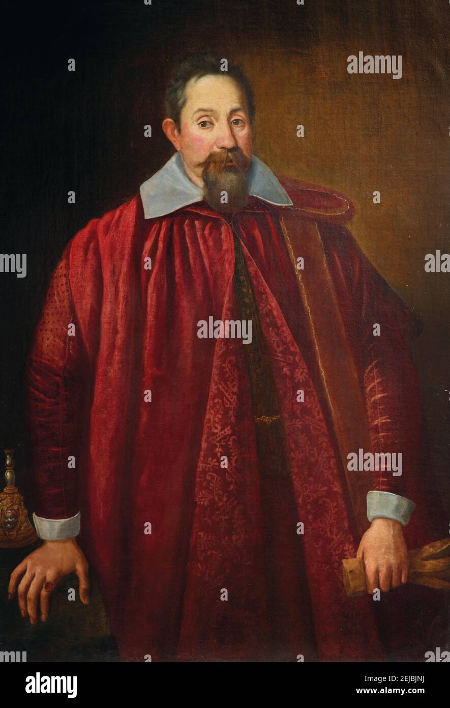 Portrait of Jacopo Pitti (1519-1589) as a Florentine Senator. Museum: PRIVATE COLLECTION. Author: ANONYMOUS. Stock Photo