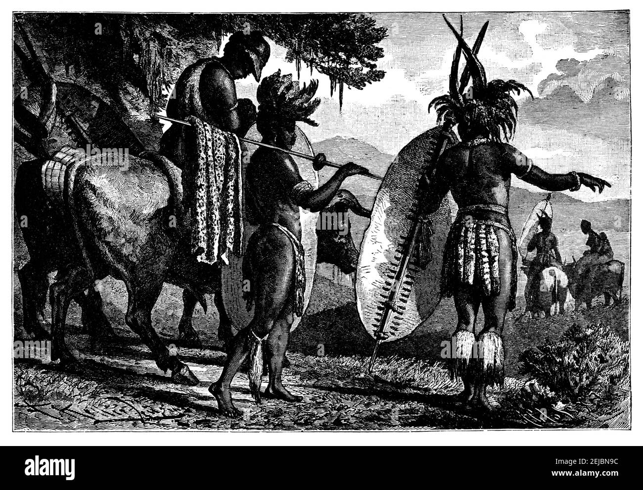 Zulu people warriors on the move.Culture and history of Africa. Vintage antique black and white illustration. 19th century. Stock Photo