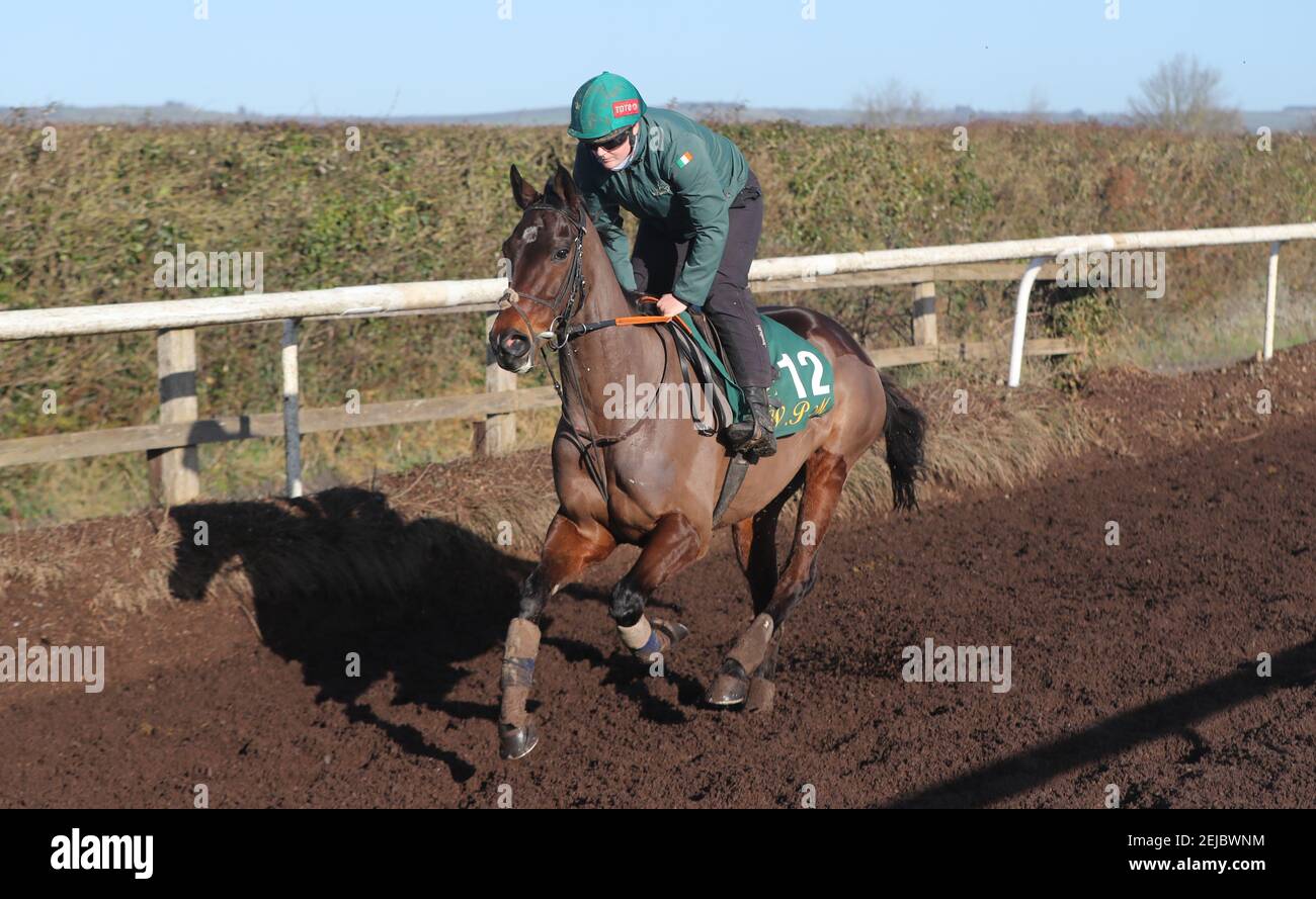 Sharjah and jockey Eilish Byrne during the visit to Willie Mullins' stables in Closutton, Ireland. Picture date: Monday February 12, 2021. Stock Photo