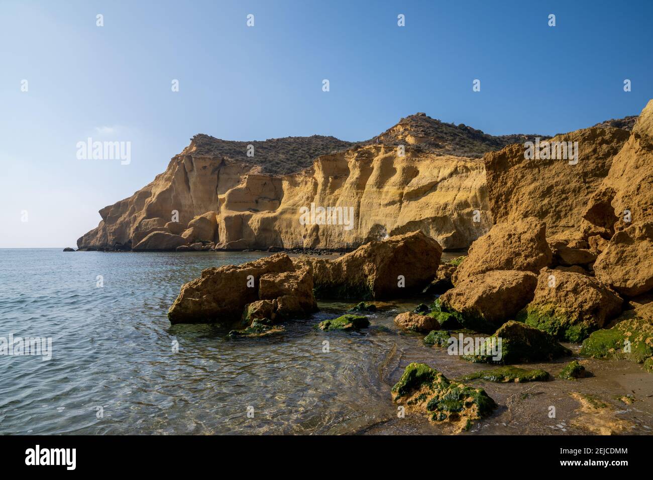 A calm idyllic ocean cove in the Mediterranean with yellow sandstone cliffs behind and green algae covered rocks on the sandy beach Stock Photo