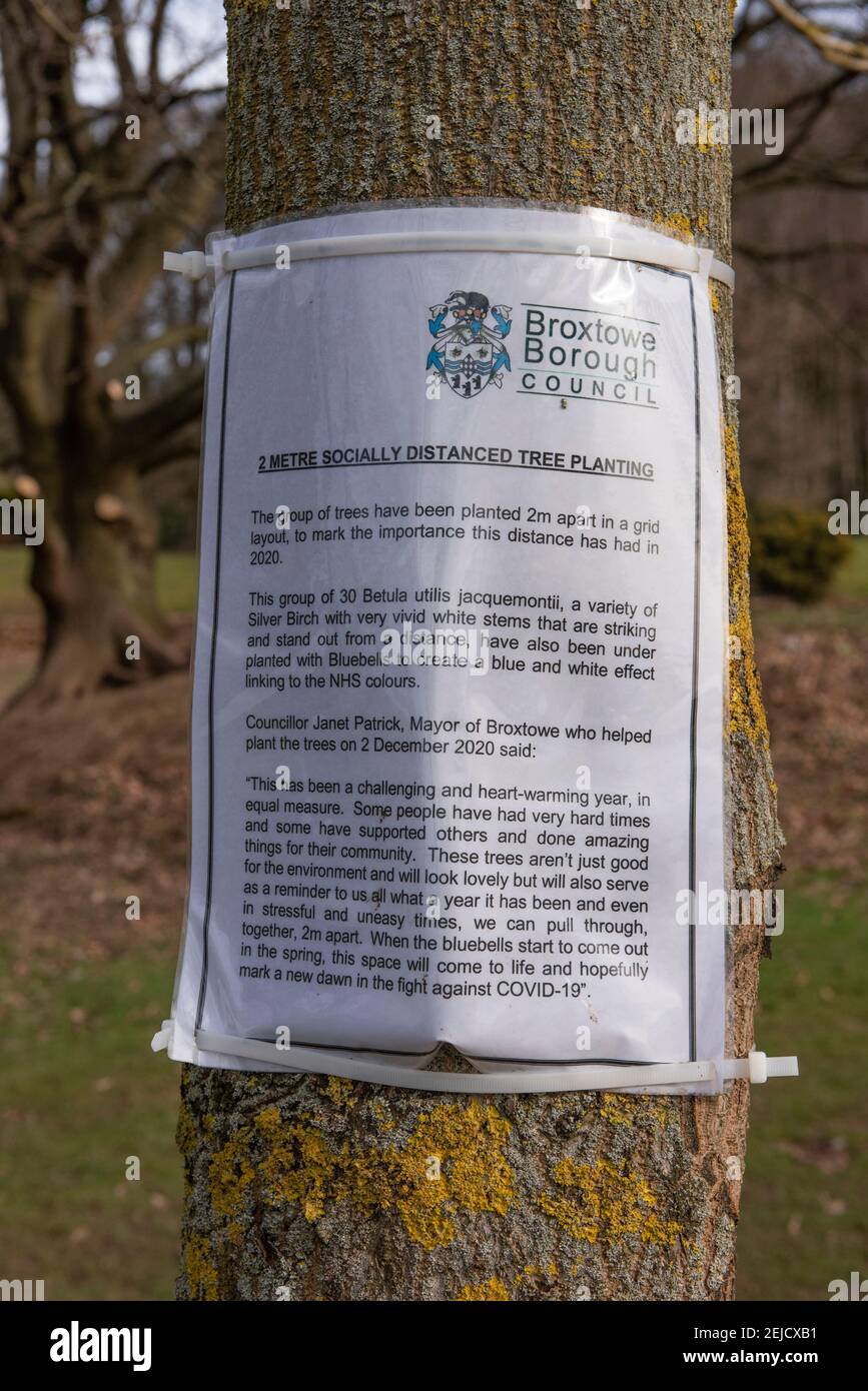 Local council notice about the planting of socially distance trees, Nottingham England UK Stock Photo