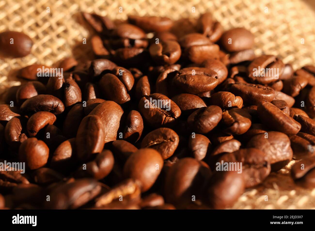 Macro closeup of pile fresh roasted organic coffee beans on jute fabric