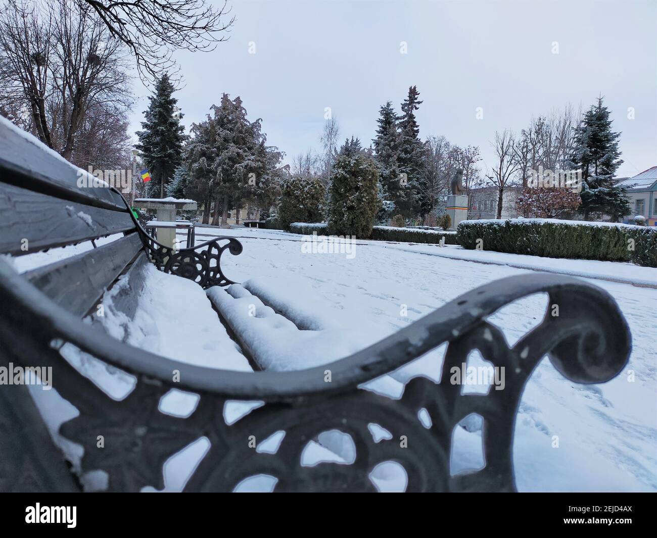 Park landscape with a snow-covered empty bench evergreen trees in the ...